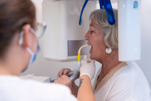 Best Emergency X-Rays and Diagnostics in Lincoln, IL